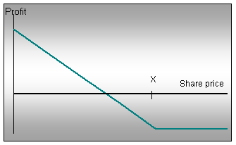 long put payoff diagram