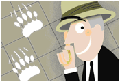 Man examining bear tracks