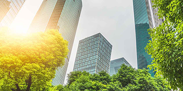 Street view of skyscrapers with trees in the foreground
