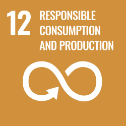 UN Sustainability Goals - 12