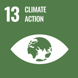 UN Sustainability Goals - 13