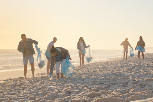 Group of people walking along a beach holding large blue bags at sunset