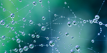 Network of connected lines with reflective spherical droplets against a green background
