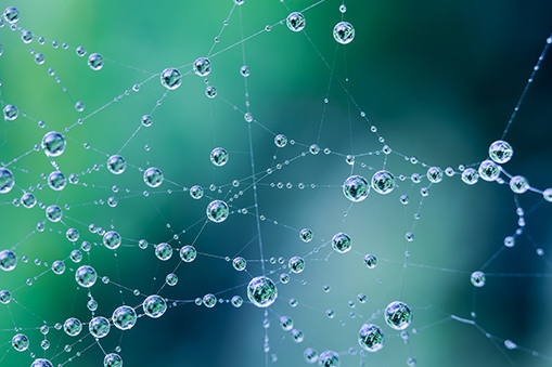 Beeks Product Launch Blog Page