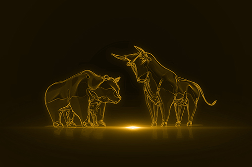 Stylised line illustration of two bulls facing each other, one smaller and one larger, formed from glowing gold lines on a dark background with a soft light effect beneath them