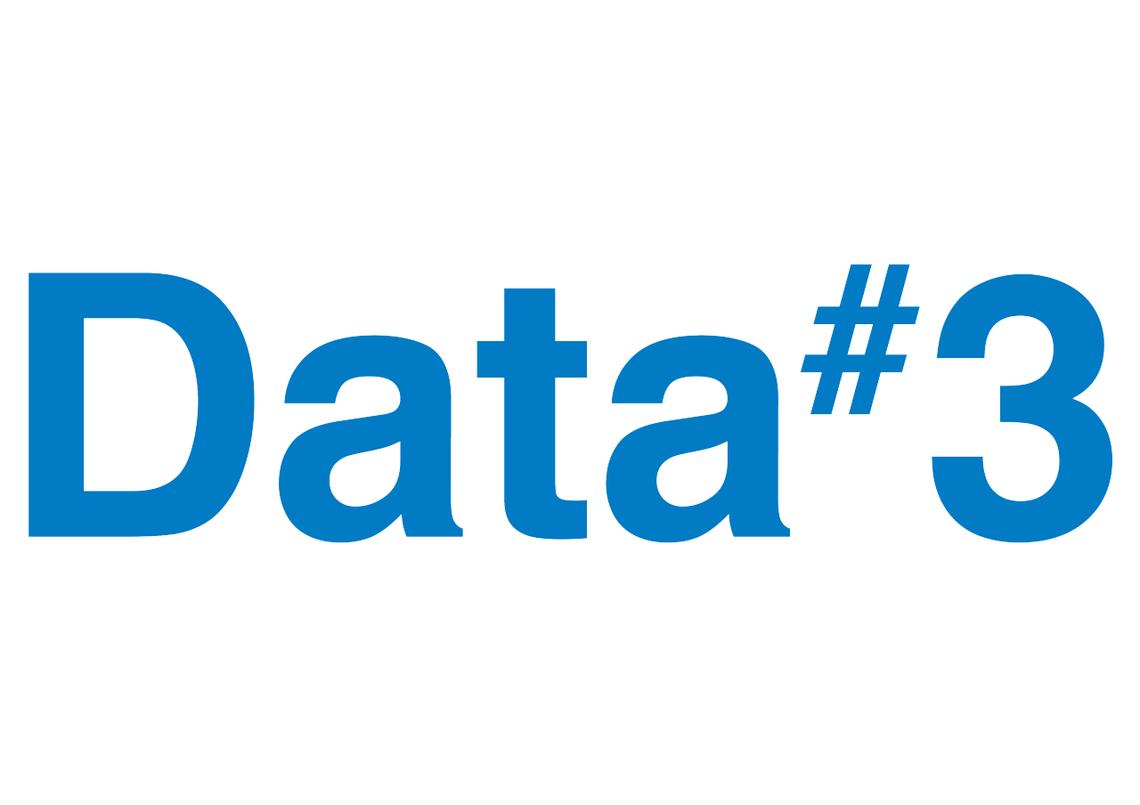 Data#3 logo