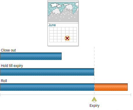 Timeline-style diagram comparing three options position management actions: close out, hold until expiry and roll. The graphic shows each action in relation to an options contract expiry point marked on the timeline.