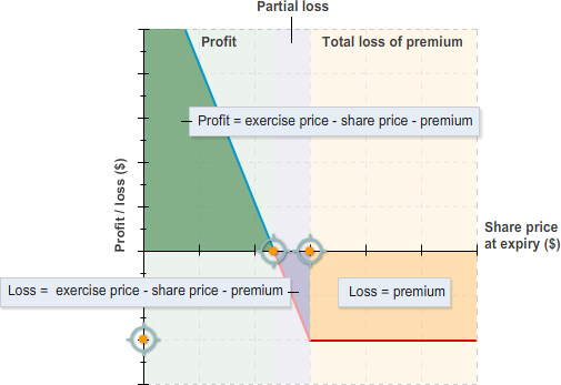Line chart showing profit or loss against share price at expiry, with labelled areas for profit, partial loss, and total loss of premium, and annotations showing formulas.