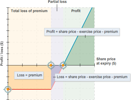 Line chart showing profit or loss against share price at expiry, with labelled regions for total loss of premium, partial loss, and profit, and annotations showing formulas.