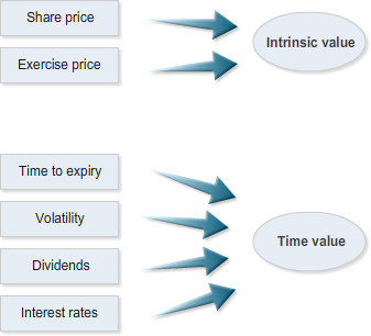 Diagram showing arrows from share price and exercise price pointing to intrinsic value, and arrows from time to expiry, volatility, dividends, and interest rates pointing to time value.
