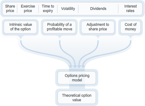 Flow diagram showing inputs including share price, exercise price, time to expiry, volatility, dividends, and interest rates feeding into an options pricing model, producing theoretical option value through components such as intrinsic value, probability of a profitable move, adjustment to share price, and cost of money.
