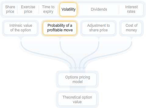 Diagram showing inputs including share price, exercise price, time to expiry, volatility, dividends, and interest rates feeding into an options pricing model, with probability of a profitable move highlighted and leading to theoretical option value.