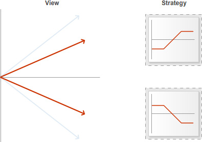 Diagram with headings “View” and “Strategy”. Under “View”, two highlighted arrows extend upward and downward from a central point. Under “Strategy”, two payoff diagrams are shown, one with a line that rises and then levels off, and another with a line that falls and then levels off.