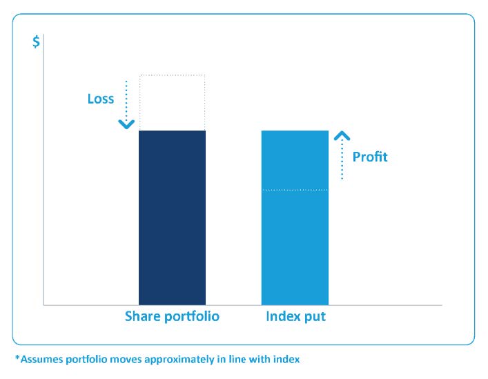 Bar chart comparing a share portfolio and an index put, with labels indicating loss for the share portfolio and profit for the index put.