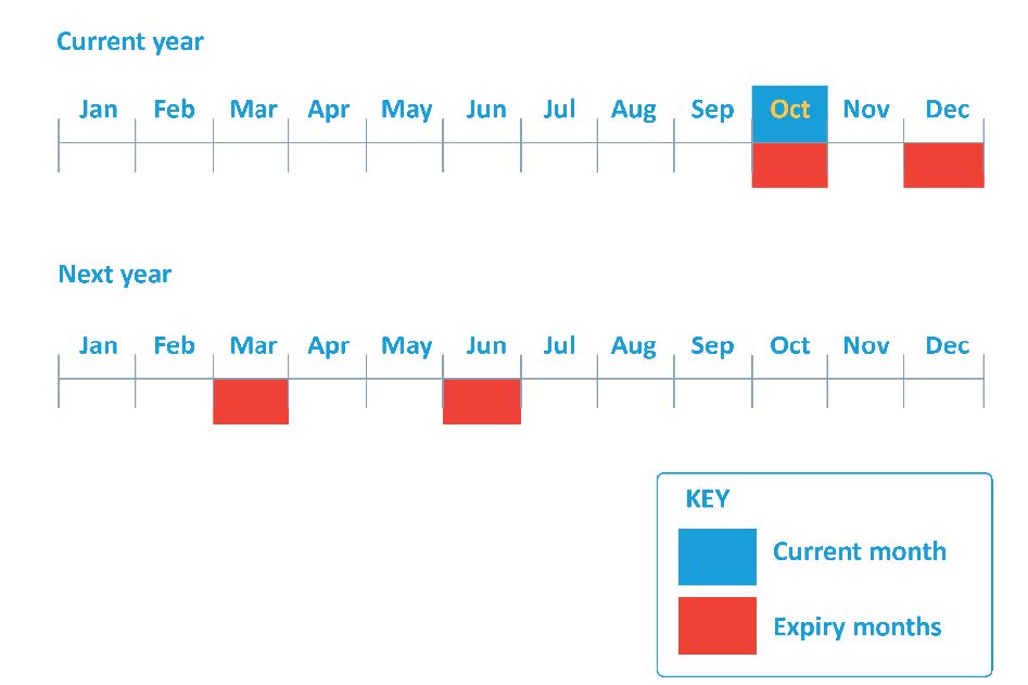 Timeline showing months across the current year and next year, with October highlighted as the current month and selected months highlighted as expiry months.