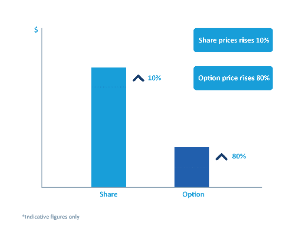 Diagram showing that when share price rises 10%, option price rises 80%