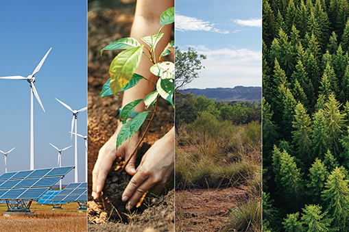 Sustainable energy, reforestation and nature scenes