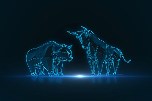 Light blue outline of bull and bear against a black background