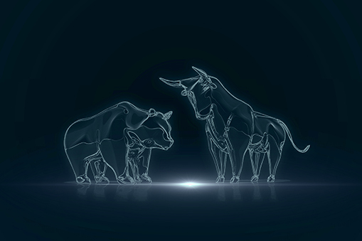 White outline of bull and bear against a black background