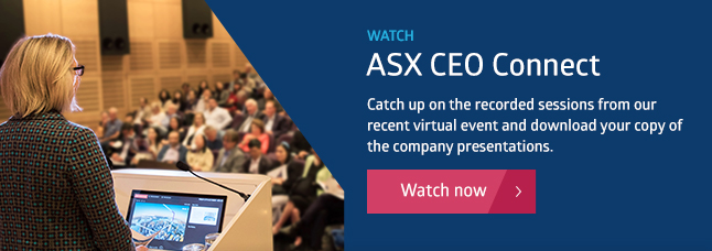 2005-ceo-connect-video