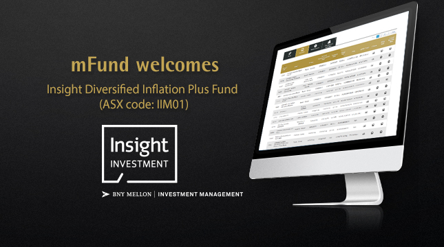 2003-mfund-insight-iim01